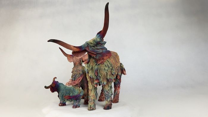 Highland Cows